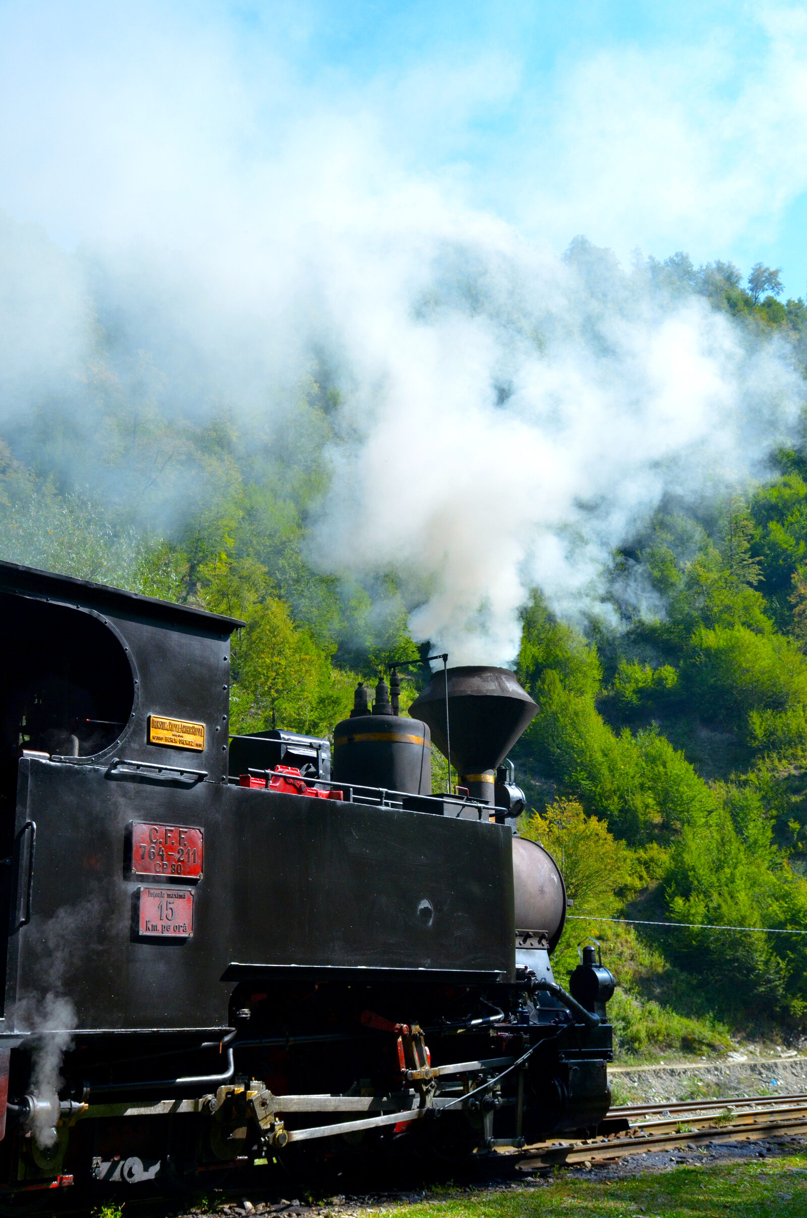 Mocăniță wood-fired steam locomotive on the Vaser Valley line, Maramureș